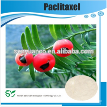 GMP Factory Produce Best Paclitaxel